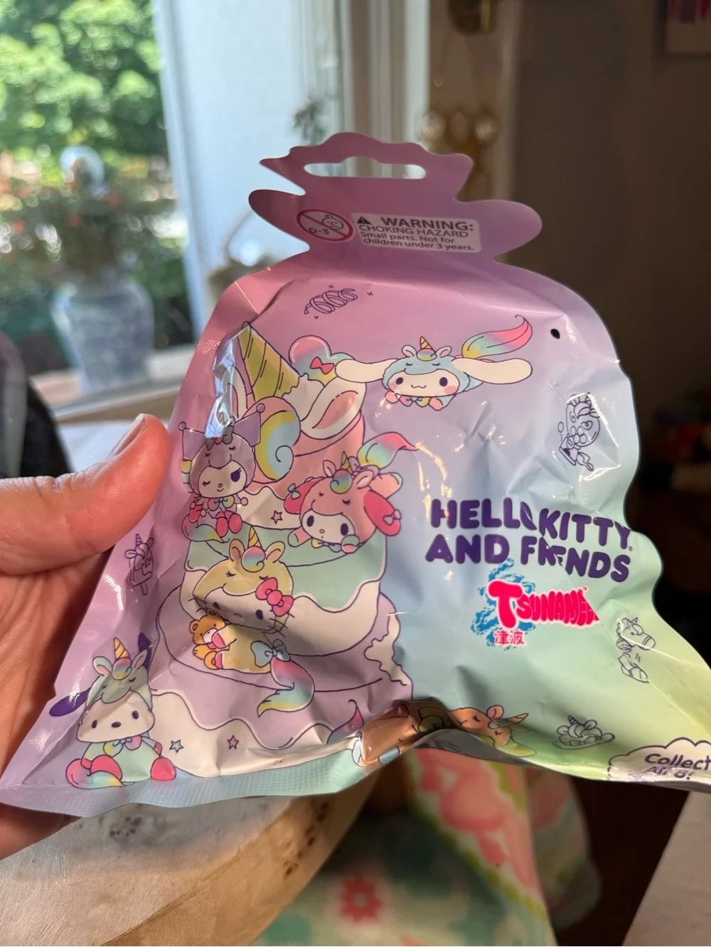 Sanrio Hello Kitty & Friends Tsunameez Mystery Blind Bag Keychain NWT Sealed